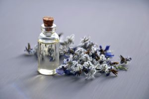 for all things lavender